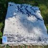 Picture of Woolen blanket "Dragonflies"